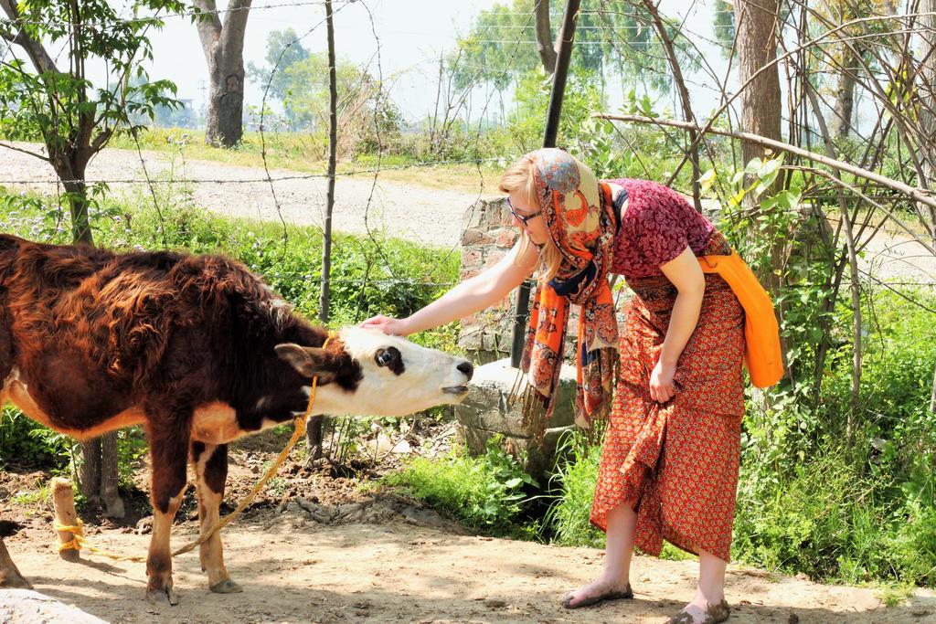 Farmers Villa Amritsar Exterior photo